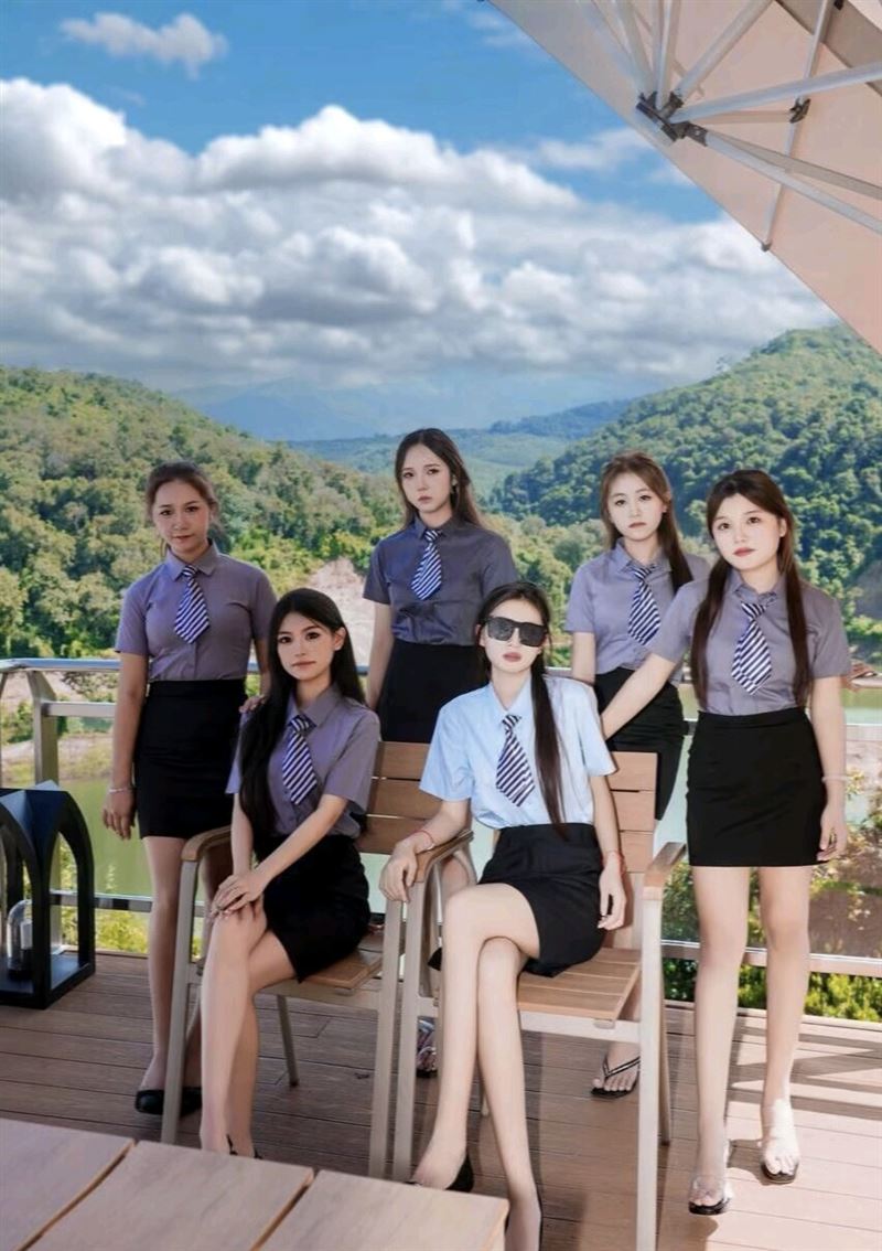 官网TL12313.com注册会员