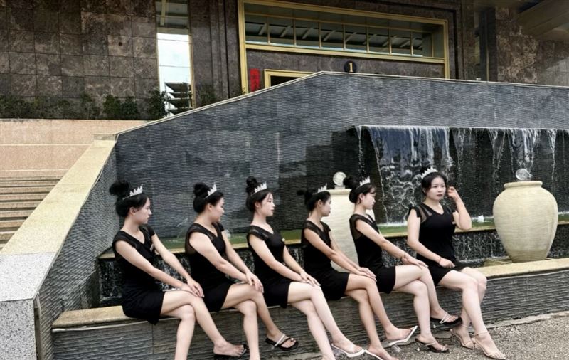 官网TL12313.com注册会员